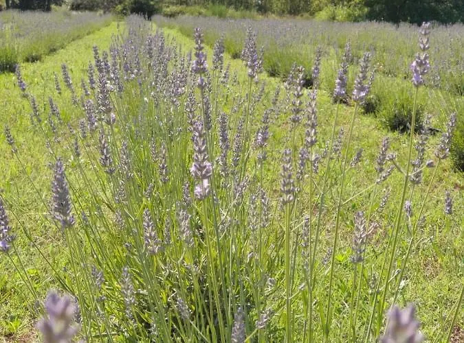 Botel Marina Degli Estensi Floating *