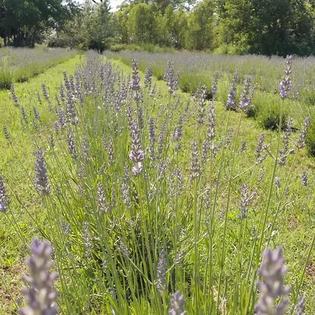 Bateau-hôtel Marina Degli Estensi Floating *