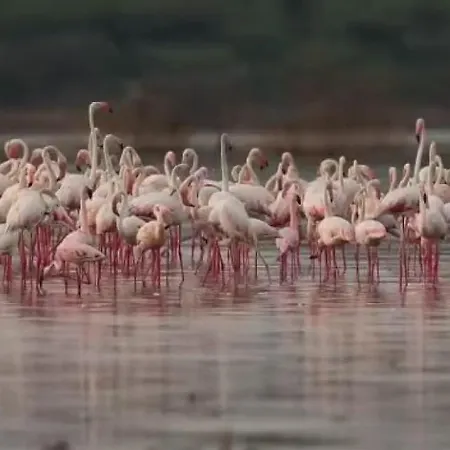 Bateau-hôtel Marina Degli Estensi Floating *
