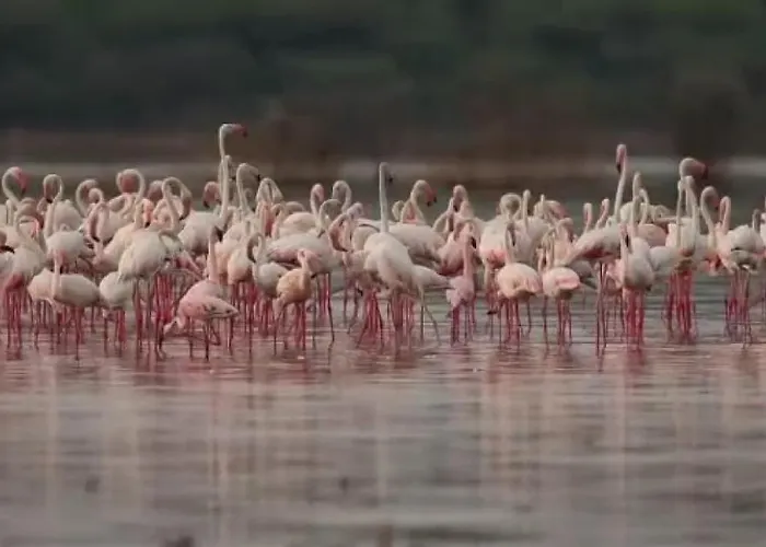 보트호텔 Marina Degli Estensi Floating *